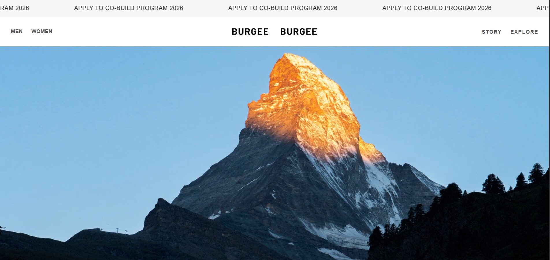 Burgee homepage